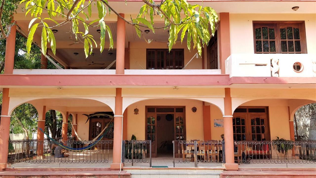 Villa Mango Hostel Puerto Escondido  Zewnętrze zdjęcie